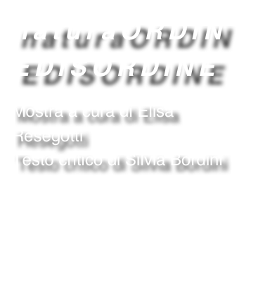 naturaORDINEDISORDINE
Mostra a cura di Elisa ResegottiTesto critico di Silvia Bordini

INSTALLAZIONI - VIDEO- FOTOGRAFIA- PITTURA- MIXED MEDIA